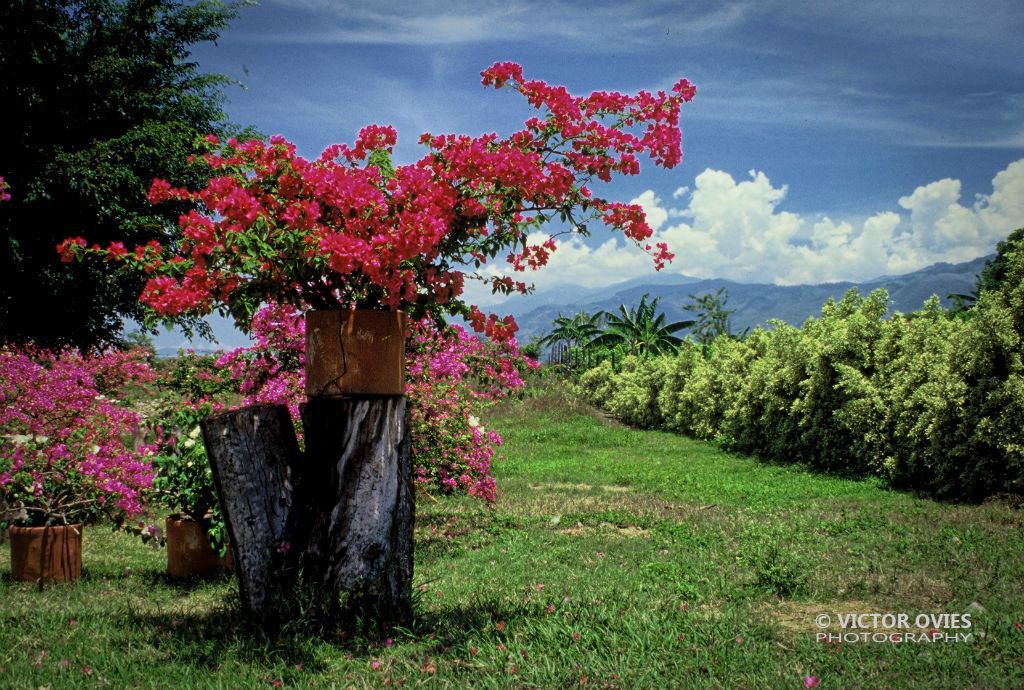 San Agustín